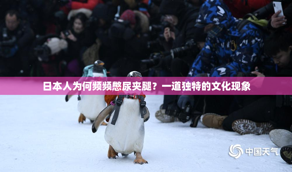 日本人为何频频憋尿夹腿？一道独特的文化现象