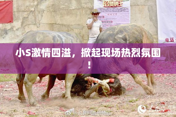 小S激情四溢，掀起现场热烈氛围！