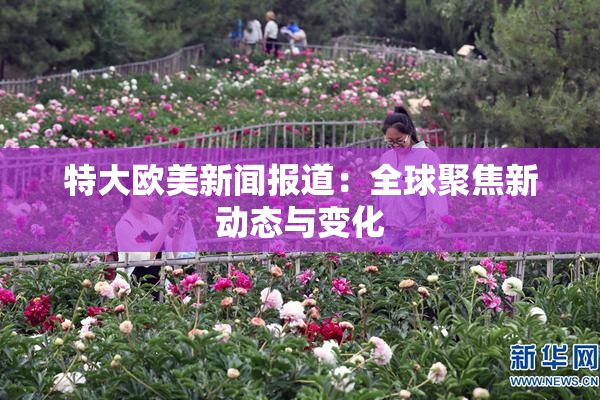 特大欧美新闻报道：全球聚焦新动态与变化