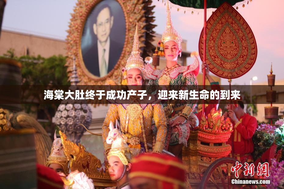 海棠大肚终于成功产子，迎来新生命的到来