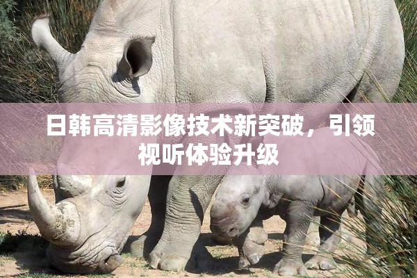 日韩高清影像技术新突破，引领视听体验升级