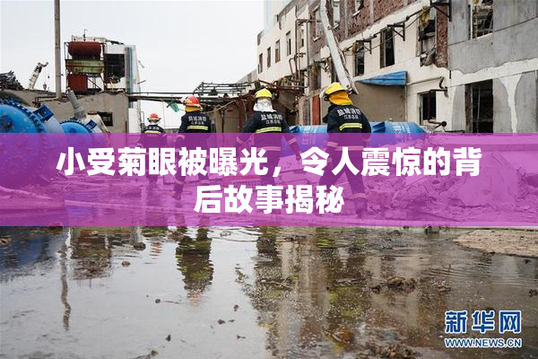 小受菊眼被曝光，令人震惊的背后故事揭秘