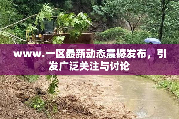 www.一区最新动态震撼发布，引发广泛关注与讨论