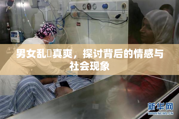 男女乱婬真爽，探讨背后的情感与社会现象
