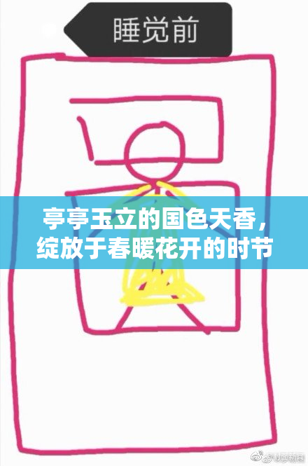 亭亭玉立的国色天香，绽放于春暖花开的时节
