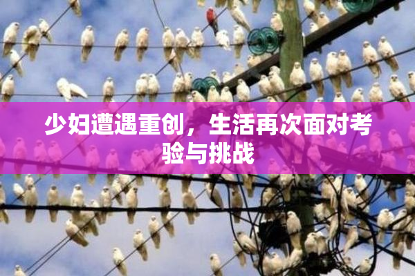 少妇遭遇重创，生活再次面对考验与挑战