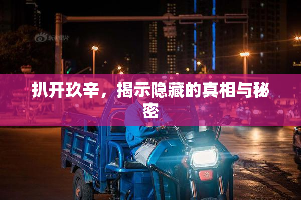 扒开玖辛，揭示隐藏的真相与秘密