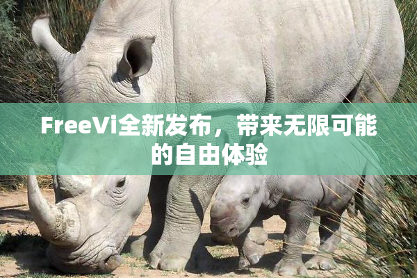 FreeVi全新发布，带来无限可能的自由体验