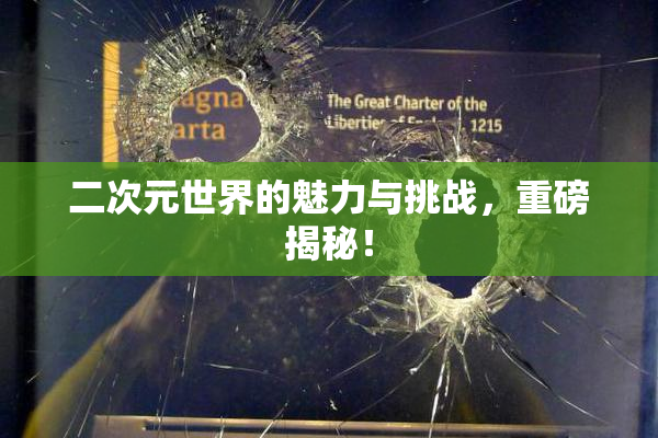 二次元世界的魅力与挑战，重磅揭秘！