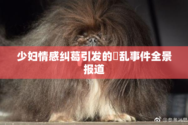 少妇情感纠葛引发的婬乱事件全景报道