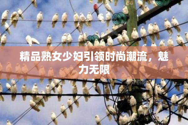 精品熟女少妇引领时尚潮流，魅力无限