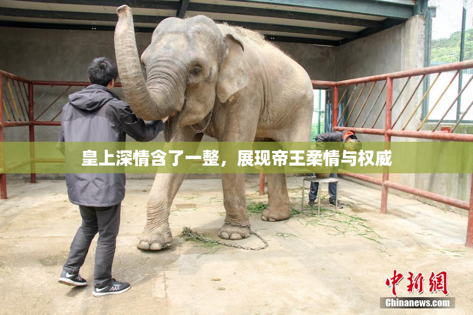 皇上深情含了一整，展现帝王柔情与权威