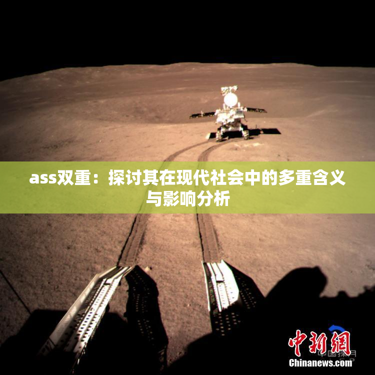 ass双重：探讨其在现代社会中的多重含义与影响分析
