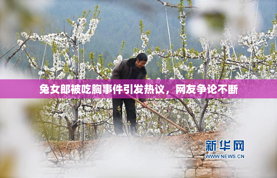 兔女郎被吃胸事件引发热议，网友争论不断