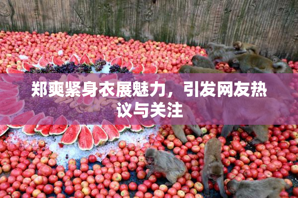 郑爽紧身衣展魅力，引发网友热议与关注