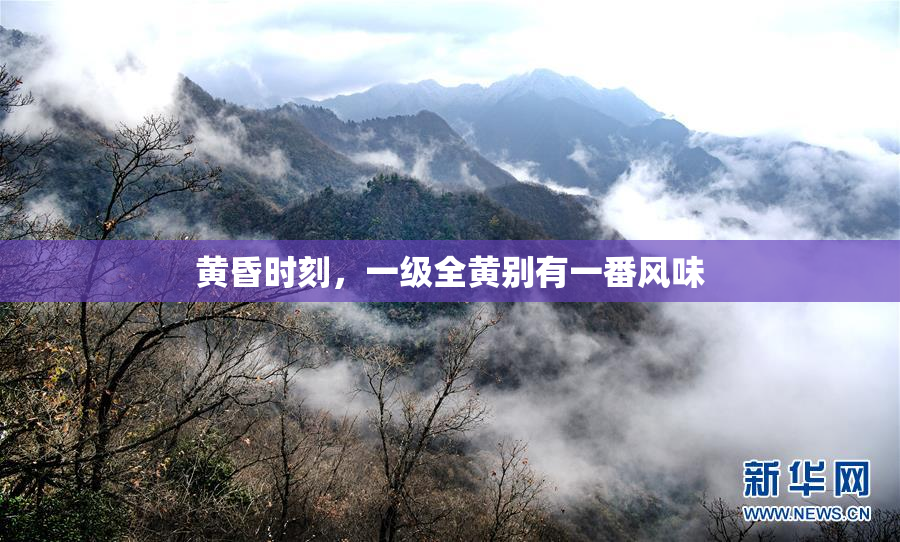 黄昏时刻，一级全黄别有一番风味