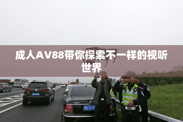 成人AV88带你探索不一样的视听世界