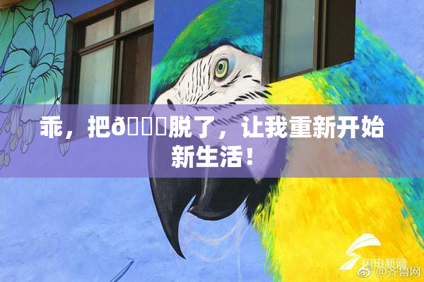 乖，把👙脱了，让我重新开始新生活！