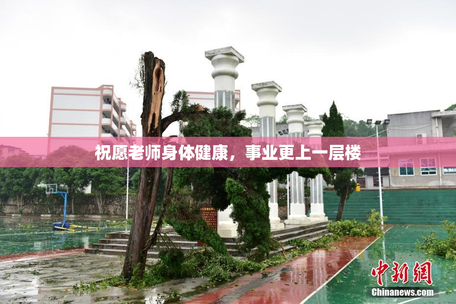祝愿老师身体健康，事业更上一层楼