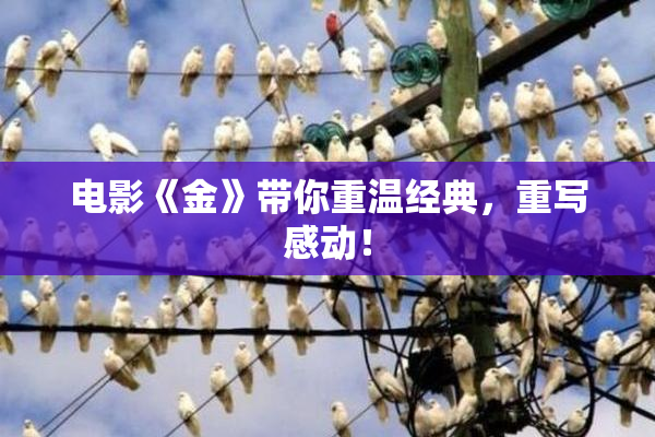 电影《金》带你重温经典，重写感动！