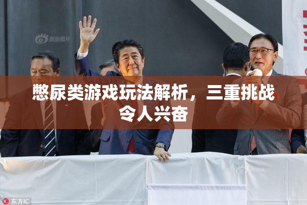憋尿类游戏玩法解析，三重挑战令人兴奋
