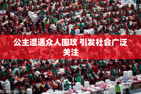 公主遭遇众人围攻 引发社会广泛关注