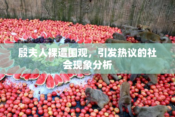 殷夫人裸遭围观，引发热议的社会现象分析