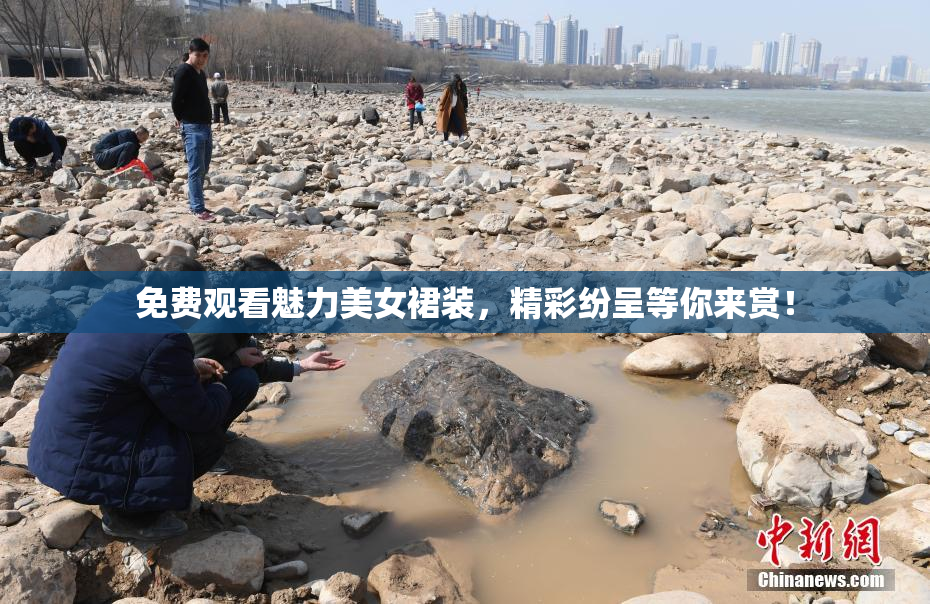 免费观看魅力美女裙装，精彩纷呈等你来赏！