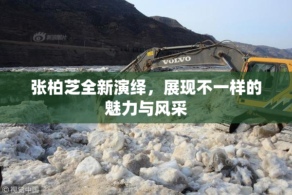 张柏芝全新演绎，展现不一样的魅力与风采