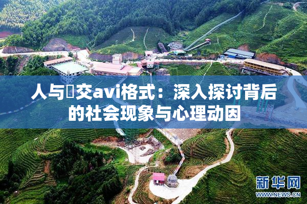 人与嘼交avi格式：深入探讨背后的社会现象与心理动因
