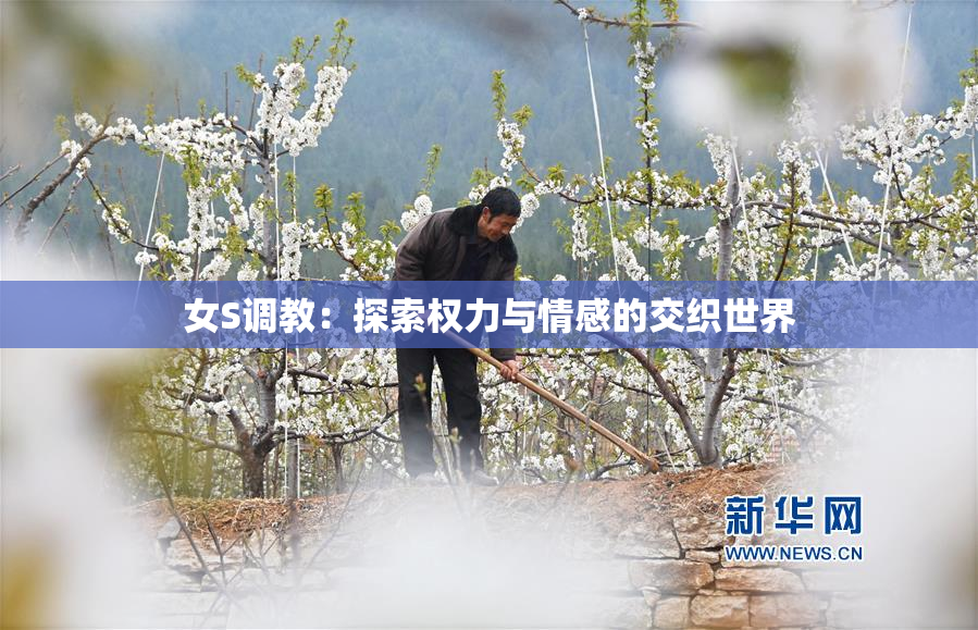 女S调教：探索权力与情感的交织世界
