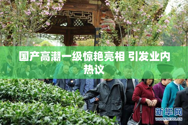 国产高潮一级惊艳亮相 引发业内热议
