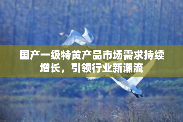国产一级特黄产品市场需求持续增长，引领行业新潮流