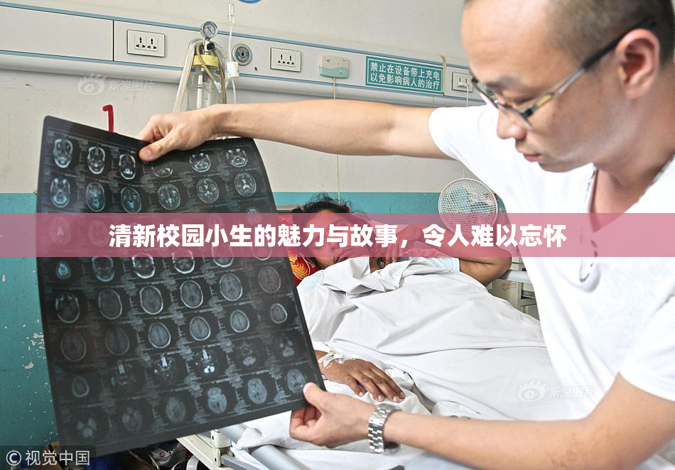 清新校园小生的魅力与故事，令人难以忘怀