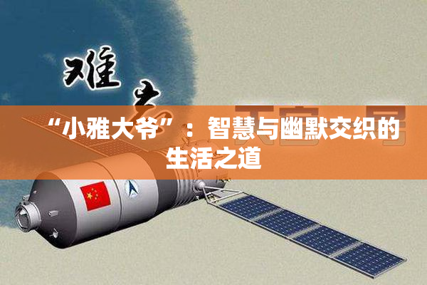 “小雅大爷”：智慧与幽默交织的生活之道