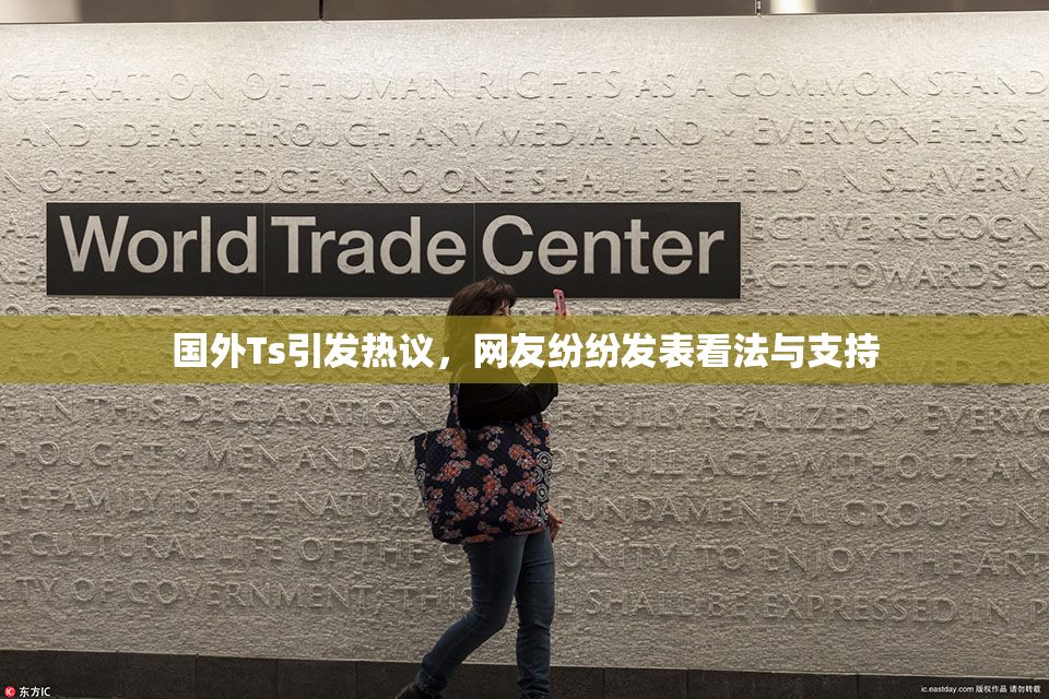 国外Ts引发热议，网友纷纷发表看法与支持