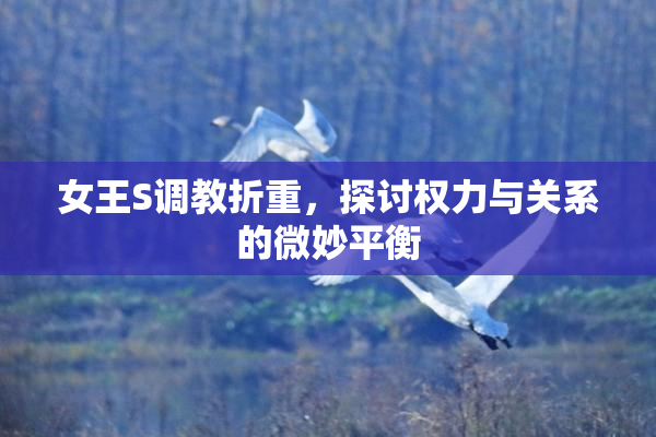 女王S调教折重，探讨权力与关系的微妙平衡