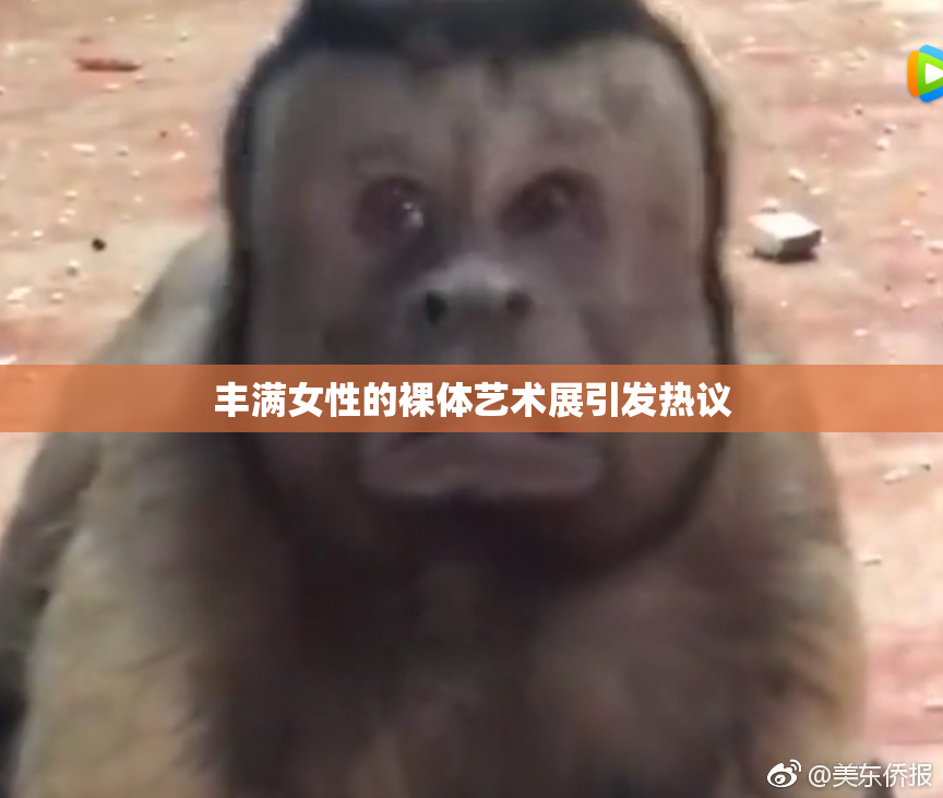 丰满女性的裸体艺术展引发热议
