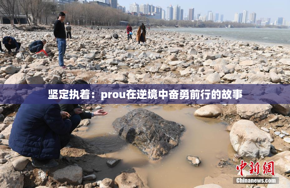 坚定执着：prou在逆境中奋勇前行的故事