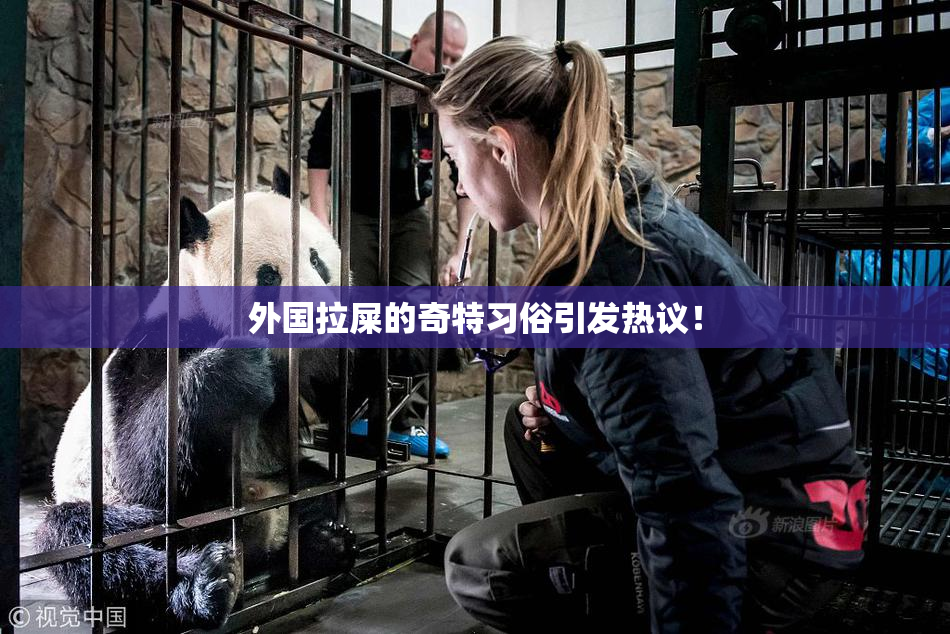 外国拉屎的奇特习俗引发热议！