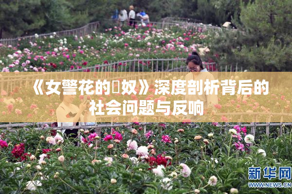《女警花的婬奴》深度剖析背后的社会问题与反响