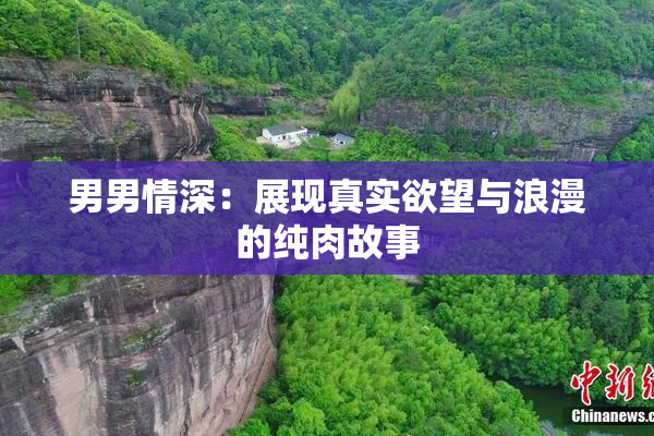 男男情深：展现真实欲望与浪漫的纯肉故事
