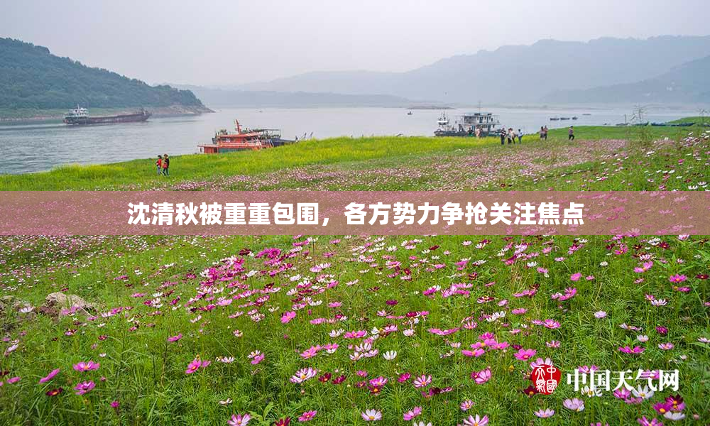 沈清秋被重重包围，各方势力争抢关注焦点