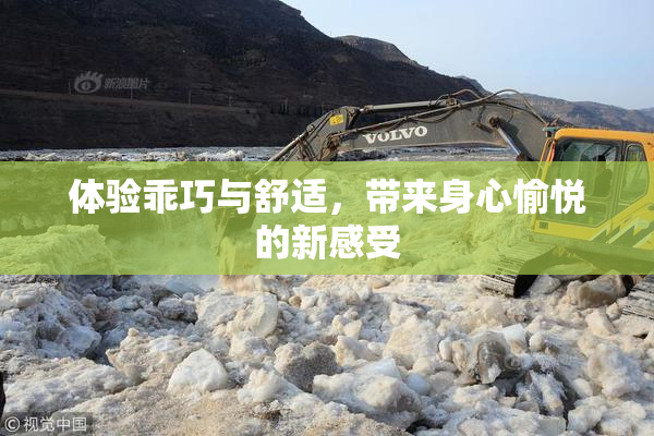 体验乖巧与舒适，带来身心愉悦的新感受