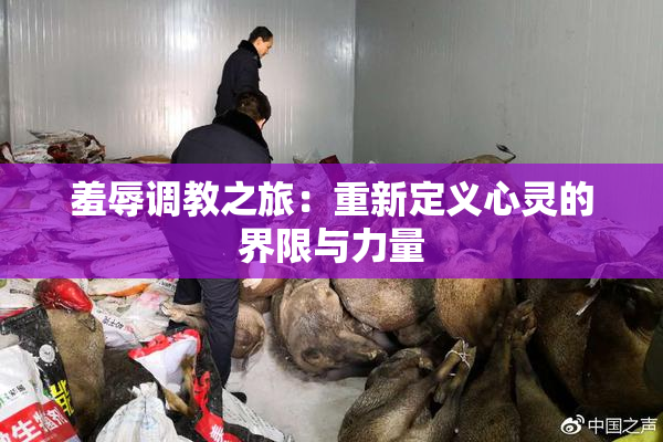 羞辱调教之旅：重新定义心灵的界限与力量
