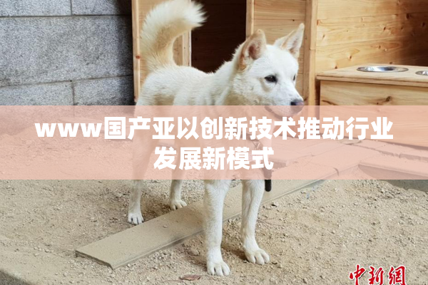 www国产亚以创新技术推动行业发展新模式