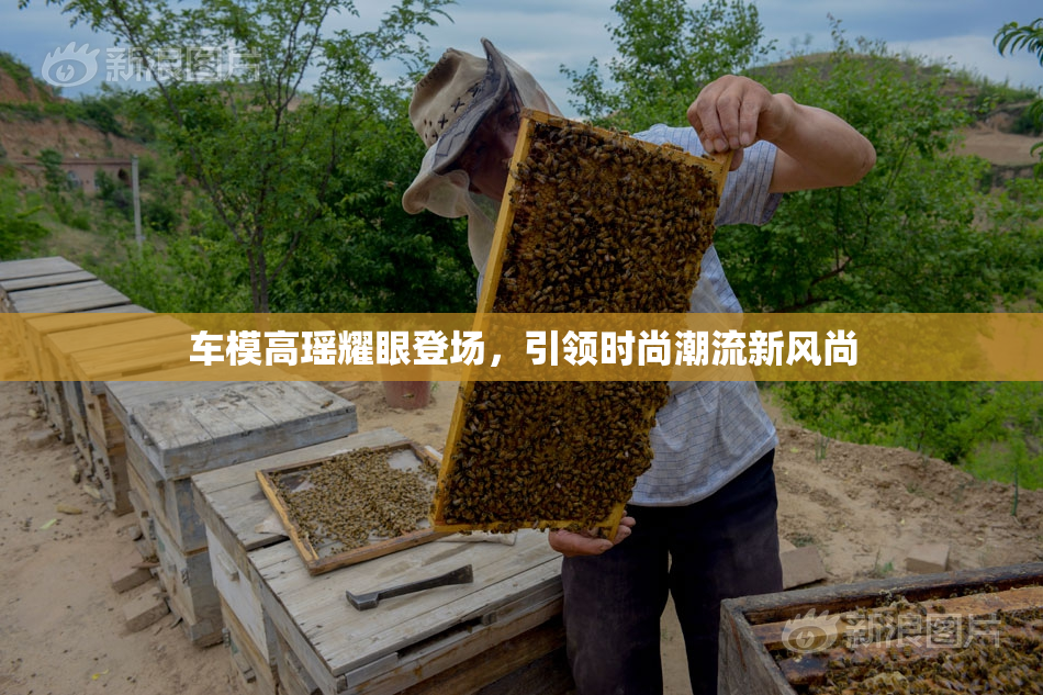 车模高瑶耀眼登场，引领时尚潮流新风尚
