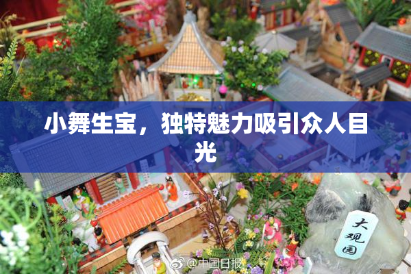 小舞生宝，独特魅力吸引众人目光