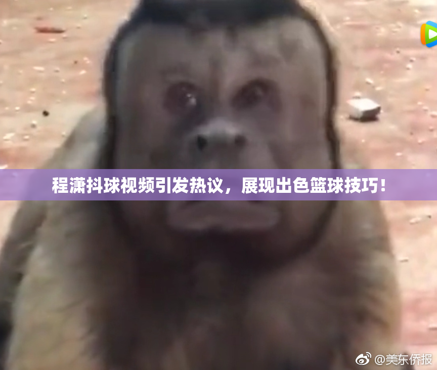 程潇抖球视频引发热议，展现出色篮球技巧！