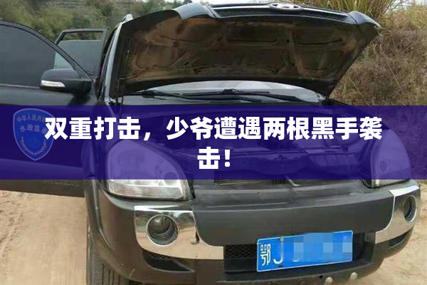 双重打击，少爷遭遇两根黑手袭击！